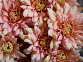 Fresh flower arrangement designed by a professional florist