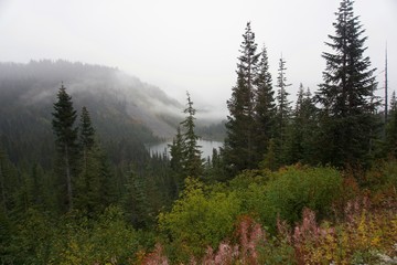 Foggy lake view