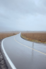 Carretera y niebla en el valle.