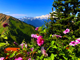 Obraz premium Crystal Mountain Summit in Washington state