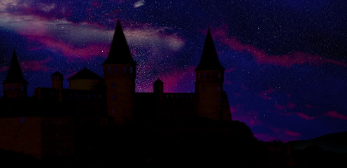 Fairy tale world. Magnificent castle under starry sky at night, banner design