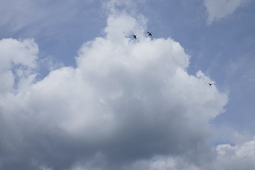 Large white cloud in blue sky with distant geese flying