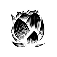 Lily lotus water flower black and white vector