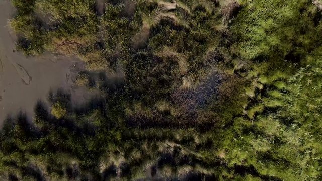 Aerial View of Puxadouro near the Aveiro Lagoon at Ovar, Aveiro, Portugal