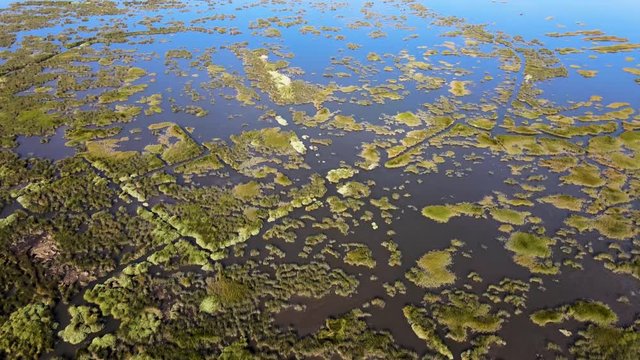 Aerial View of Puxadouro near the Aveiro Lagoon at Ovar, Aveiro, Portugal