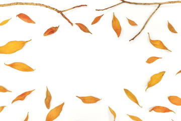 Autumn leaves composition mockup with copy space.