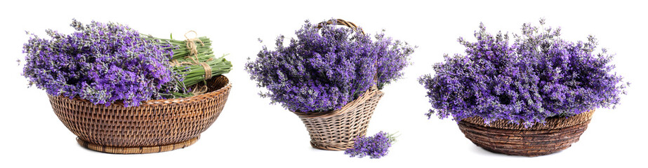 Set of fresh lavender flowers in wicker baskets on white background. Banner design