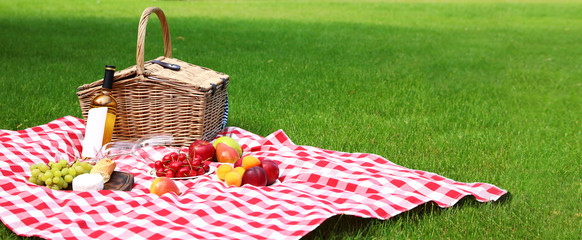 Picnic basket with products and bottle of wine on checkered blanket in garden, space for text....
