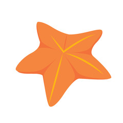 Isolated starfish image