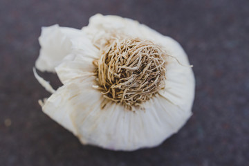 plant-based ingredients, close up of garlic on kitchen countertop