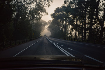 An empty country road from the driver's perspective on a foggy morning.