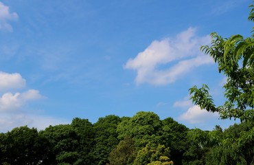 爽やか　空　緑　風景　茨城