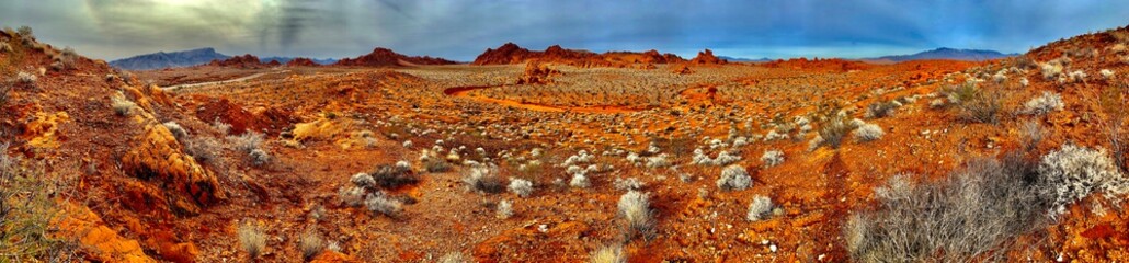 View of desert and red rocks in Valley of Fire