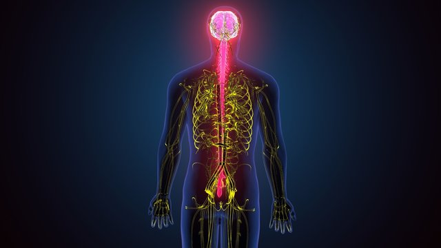 trigeminal facial pain chicago