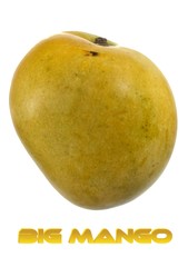 Big mango on white background