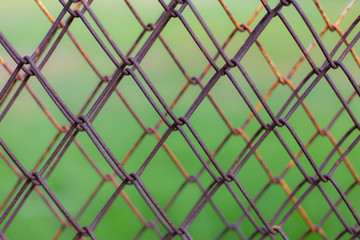 Wire fence with green grass on background.