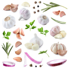 Set of fresh garlic and different seasonings on white background