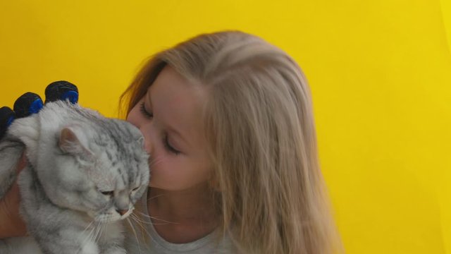 cheerful little girl kisses and combes the excess hair of a cat during a molt with a special glove. Animal Care and Health Concept