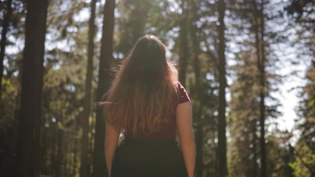Slow motion rear shot of beautiful young woman walking in forest during sunny day in summer