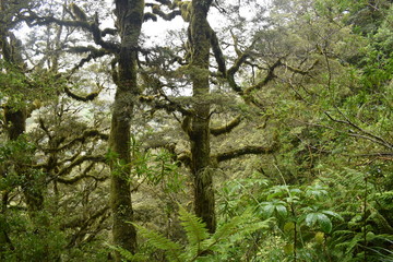山道