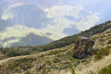 山