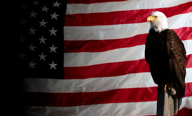 Naklejka premium american flag and eagle dark