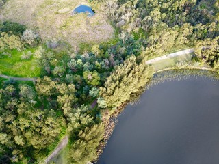 aerial view of lake and forest