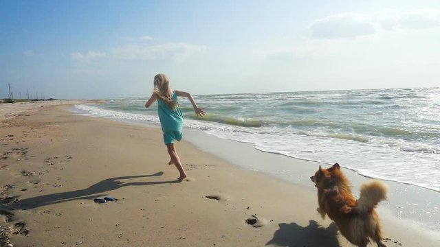 child girl with the fluffy corgi dog on a sea shore with big stormy waves on a sunny windy day
