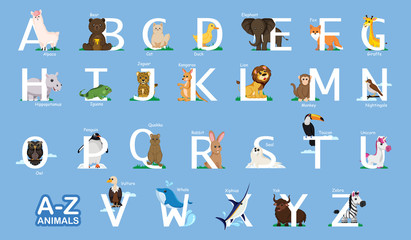 Instructional media A-Z Animal, Letter from A to Z and various animals near letters light blue backgroud