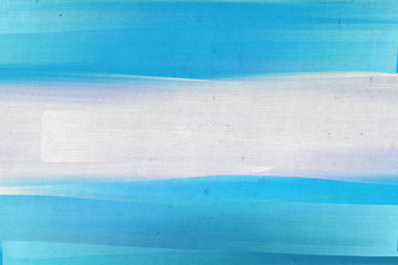 Hand painted Argentina national flag