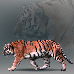 Fototapeta na wymiar Tiger in geometrical style. Vector illustration