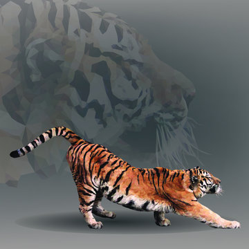 Tiger in geometrical style. Vector illustration