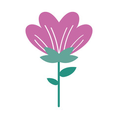 beautiful flower plant isolated icon