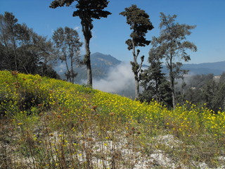 seven ears volcano
