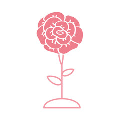 beautiful rose flower plant isolated icon