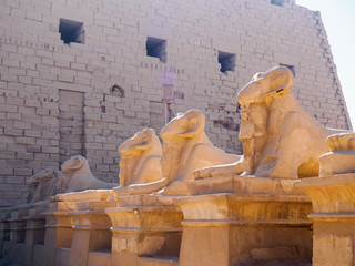 Row of ancient sculpures of criosphinx near brickwall, medium view. Photographed in Luxor, Egypt....