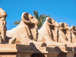 Sculptures of criosphinx in Karnak temple in Luxor, medium view. Row of ancient statues on...