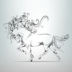 Horse with a fantastic mane