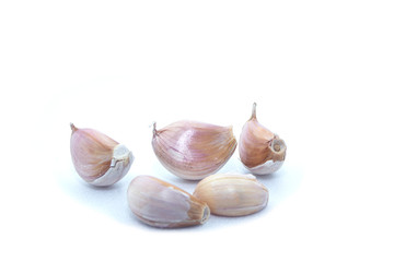 Garlic isolated on a white background