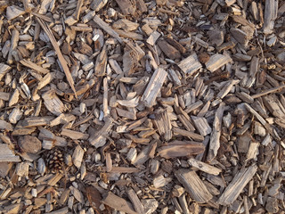 Wood sawdust background. Wood sawdust in the forest. Texture background of sawdust