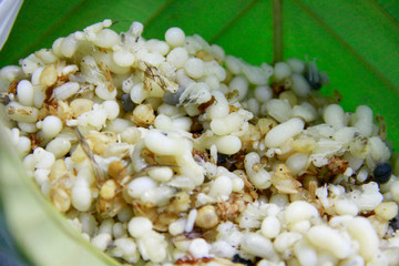 Fresh red ant eggs lay on the green leaves.