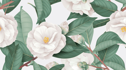 Motif floral sans couture, fleurs de camélia semi-doubles blanches avec des feuilles sur gris clair