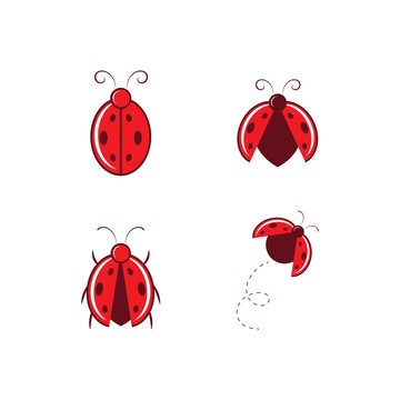 Ladybug logo and icon vector
