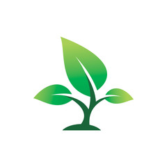 Fototapeta na wymiar green nature leaf plant tree logo design