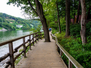 Nami Island, South Korea - Sep 20, 2019. People walking in Namiseom Island.