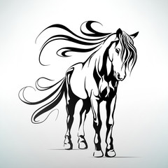 horse vector illustration