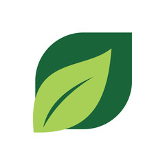modern green nature leaf logo design