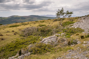 Fototapeta na wymiar Whitbarrow is a hill in Cumbria, England. Designated a biological Site of Special Scientific Interest and national nature reserve, it forms part of the Morecambe Bay Pavements