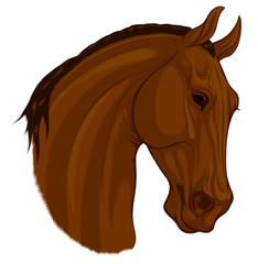 Head of a sorrel horse with mane thrown to the other side of the neck. Stallion pricked up its ears and looks with interest. Vector emblem, design element for stud farms and equestrian clubs.