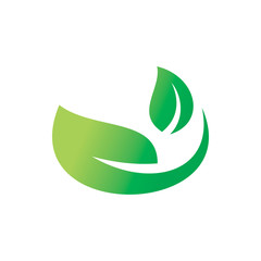 dynamic green nature leaf logo design